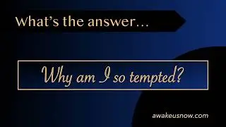 Questions - Week 14: Why Am I So Tempted?