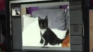 Christian Mikes - Fotografie