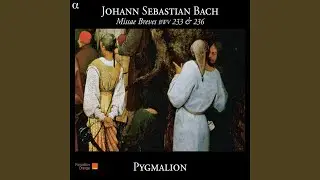 Missa Brevis in G Major, BWV 236: V. Quoniam