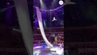 (😱).Is This the Greatest Circus Video Ever Made//🎪 circus video#amazing circus#10 million