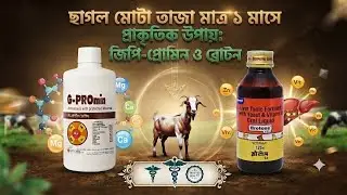 Enhance Growth Fast: G-Pro Min vs Broton Syrup