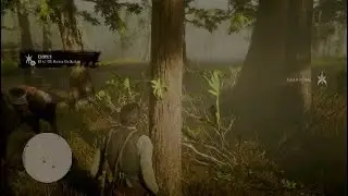 Rd2 All Spider Orchid Locations