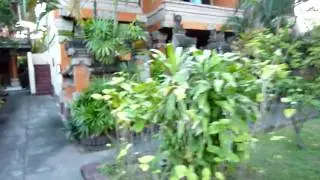 BALI ISLAND KUTA CHAMPLUNG MAS HOTEL バリ島 クタ チャンプランマスホテル