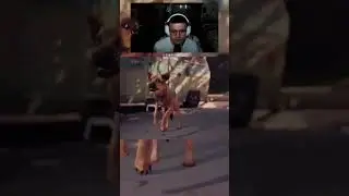 Я пошутил...