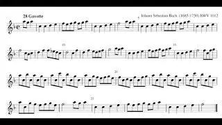 J.  S.  Bach, Gavotta BWV 1012, Anna Disabato, alto recorder