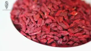 GOJI BEEREN TROCKENFR&Uuml;CHTE 1001 Frucht