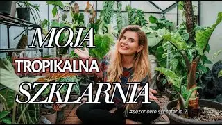 SEZONOWE SPRZĄTANIE TROPIKALNEJ SZKLARNI CZ. II 🌱 | lunavlog
