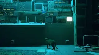 Stray - Премьера! [Часть 1] (PS4 Pro)