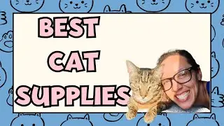 Every cat needs these essentials for indoor happiness