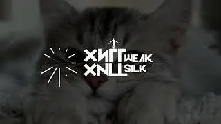 [REMIX] ШЕЛК / SILK | prod. ХИГГ/XNLL
