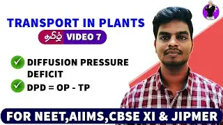 Diffusion Pressure Deficit | Transport in Plants in Tamil (7)