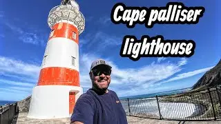 Cape palliser lighthouse  -  New Zealand 