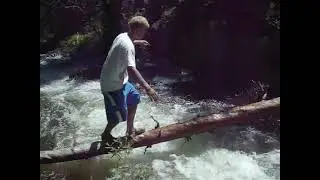 Alec Log Crossing