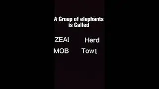 A Group of Elephant is called #short #viral