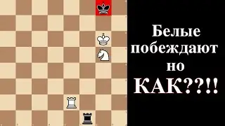 Белые побеждают но как??!! Эндшпиль, который надо знать!