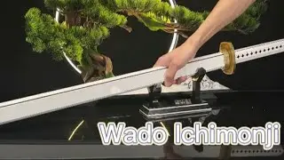 Speed Build DK Bricks 1509 ONE PIECE Zoro's the most important Sword Wado Ichimonji Katana