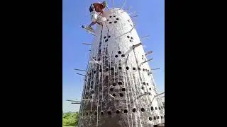What Are Pigeon Towers 💪-4583C1