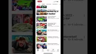 Mr beast hacked by a swedsih man lol