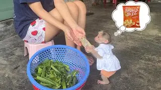 super smart ! monkey abi took money from aunt Huong and wanted to buy snacks