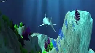 Unity 5 3D Shark Game Demo Third Person Controller Y Axis