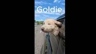 Two Doods on a ride