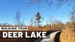 [4K] Deer Lake Park, Burnaby BC Canada - Trail Walking TourㅣCanada road, 4K Virtual Tour