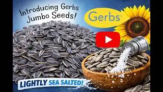 Introducing Gerbs lightly Sea salted jumbo sunflower seeds #sunflowerseeds #allergyfriendly #snacks