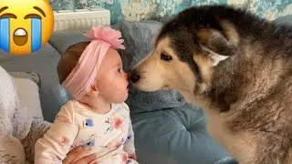 Baby Falls Over!! 😭