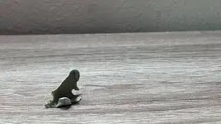 The Best FPS to use During A Stop Motion Film