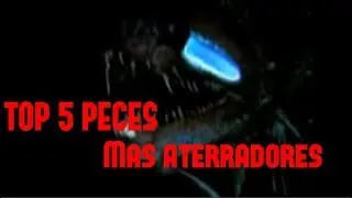 Top 5 Peces Abisales Mas Aterradores.