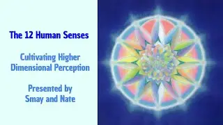 12 Human Senses & Cultivating Higher Dimensional Perception