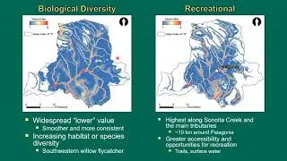 Mapping Perceived Social Values of Riparian Ecosystems: Case Study in Southeastern Arizona, USA