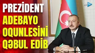 Prezident İlham Əliyev &ldquo;Global Infrastructure Partners&rdquo; şirkətinin baş icra&ccedil;ı direktorunu qəbul edib