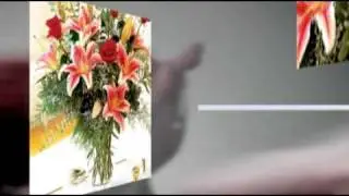 Send Flowers Chicago