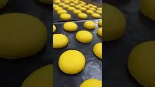 #frenchmacarons #macarons #макаронс #макарон