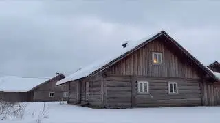 Snowfall in a Quiet Mountain Village | Night Ambience for Deep Sleep