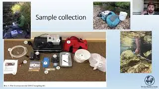 Using eDNA to understand fish distribution in the Hood River Watershed and across the Western U.S.