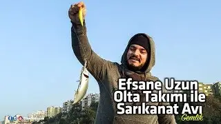 Efsane Uzun Olta Takımı İle Sarıkanat Avı ( Gemlik ) - Olta Dükkanım