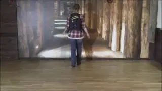 BROKEN HEART, Line Dance (Teach)
