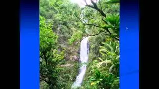 Intuition for Hiring, Business Growth, Change.wmv