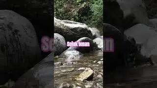 Orang terjun
