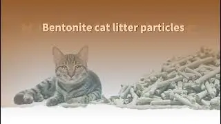 RICHI Bentonite Cat Litter Pellet Equipment &ndash; Engineered for Feline Comfort
