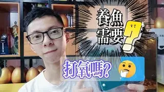 养观赏鱼是不需要打氧的，给鱼缸打氧是为了它们，保持水质不浑浊
