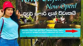 love |life |birds| waterworld kelaniya |viral |viralvideo |music| video |viralshorts #song |animals