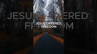 THE SYSTEM FELT EXPOSED &mdash; TRUTH COULDN&rsquo;T STAY HIDD #jesus  #freedom #consciousness #power #shorts