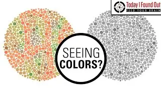 Can Color Blind People See More Colors When They Take Hallucinogenic Drugs?