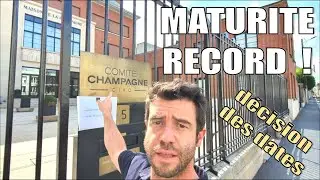 🍇 Maturité record en Champagne ☀️- Comment a t'on décidé de la date de la vendange 2020