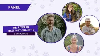 Dog Anxiety Summit 2025 Kick Off with Dr. Edward Bassingthwaighte and Guests