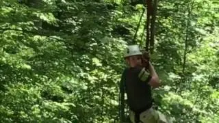 Ziplines in NOVA-Hemlock Overlook Regional Park