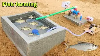 How to make mini water pump fish farming construction | mini Science project 🐟 🐟